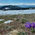 אכסניה орцево Ortsevo