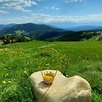 орцево *