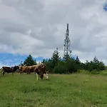орцево Jaktstuga *