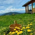 Jaktstuga орцево