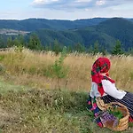 орцево Ortsevo
