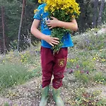 орцево * Ortsevo