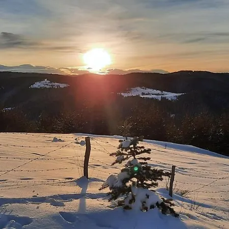 Jaktstuga орцево *