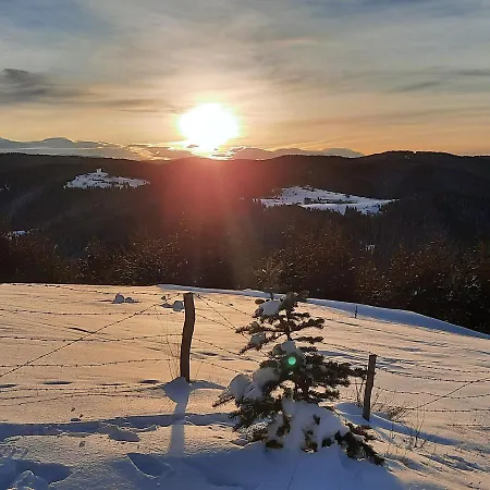 Хижа орцево