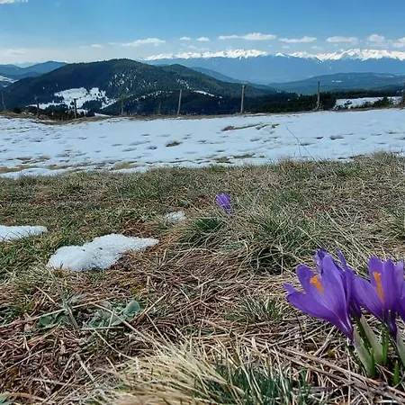 Jaktstuga орцево Ortsevo
