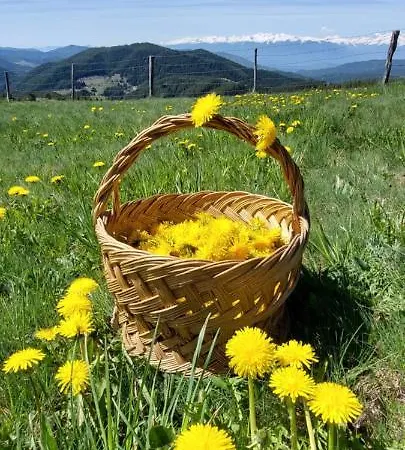 Gerendaház орцево Ortsevo