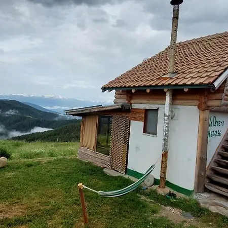 орцево