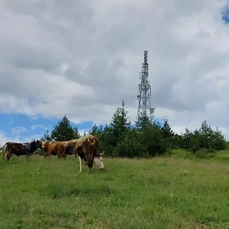 орцево Gerendaház *