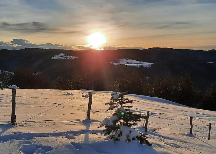 Lodge орцево *