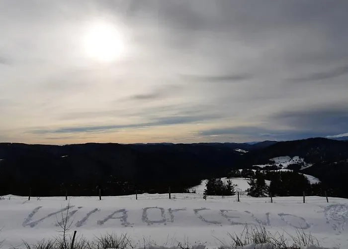 Деревянный коттедж орцево *