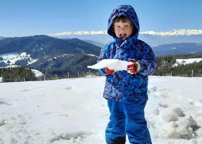 орцево Деревянный коттедж