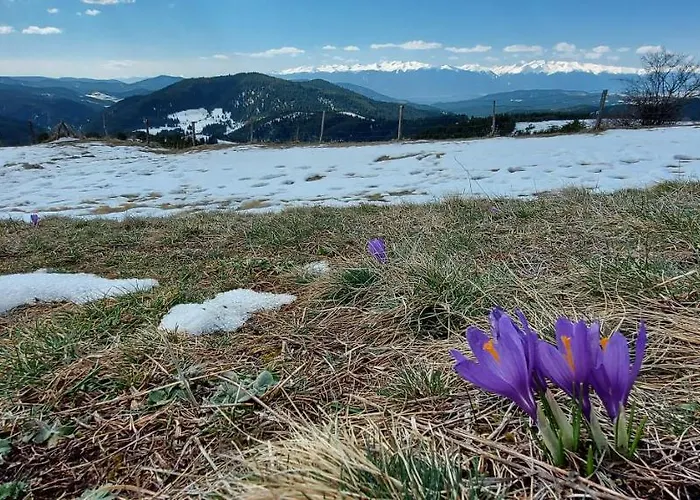 Lodge орцево Ortsevo