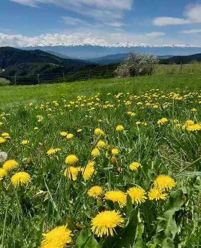 орцево Ortsevo