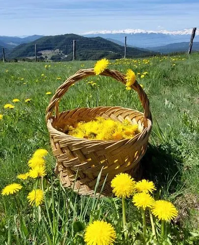 Lodge орцево Ortsevo