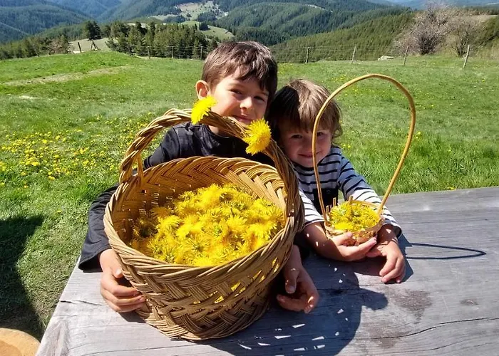 Lodge орцево *