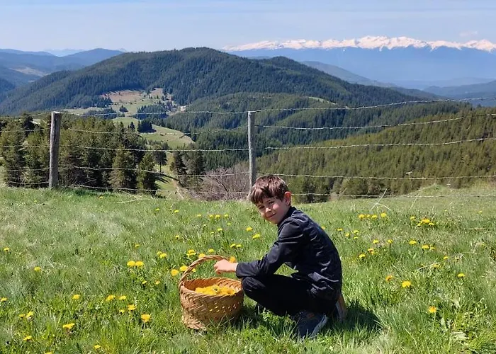 орцево * Ortsevo