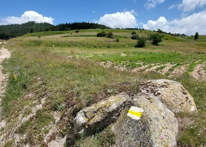 орцево Ortsevo