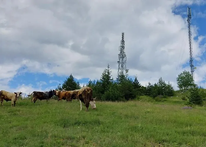 орцево Lodge *