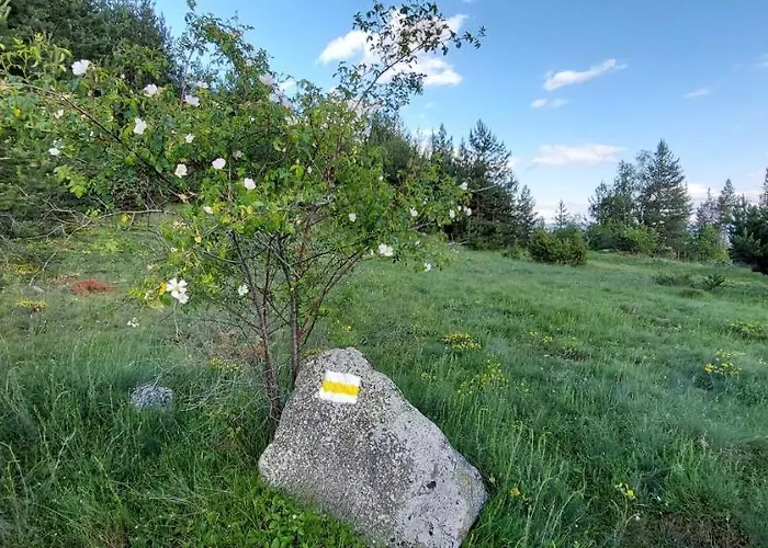 Lodge орцево Ortsevo