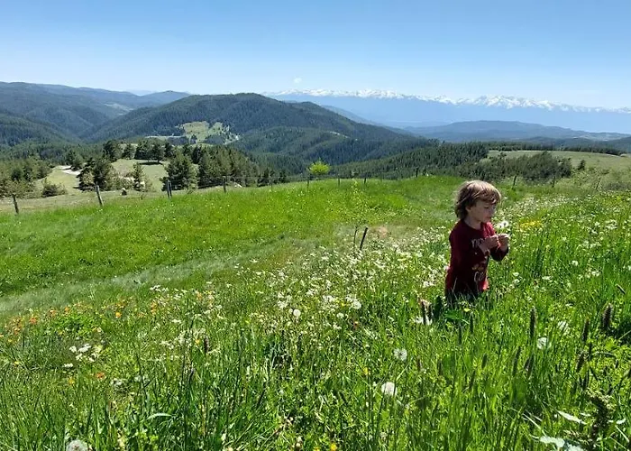 Lodge орцево *