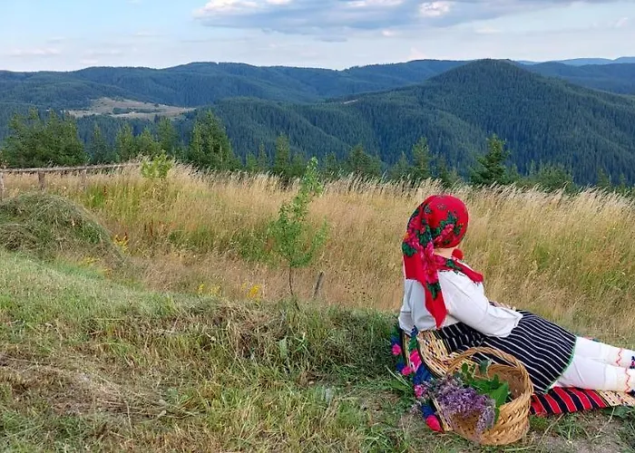 орцево Ortsevo