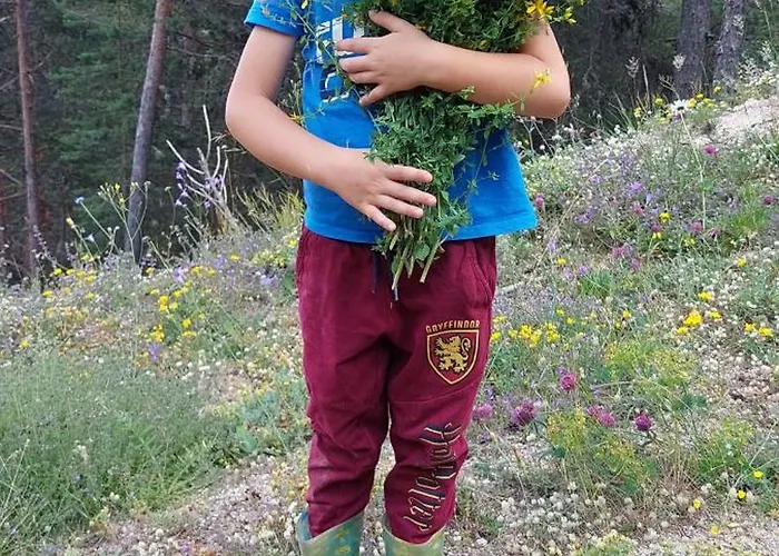 орцево * Ortsevo